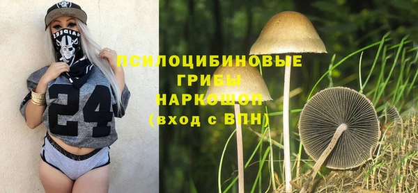 стаф Абинск