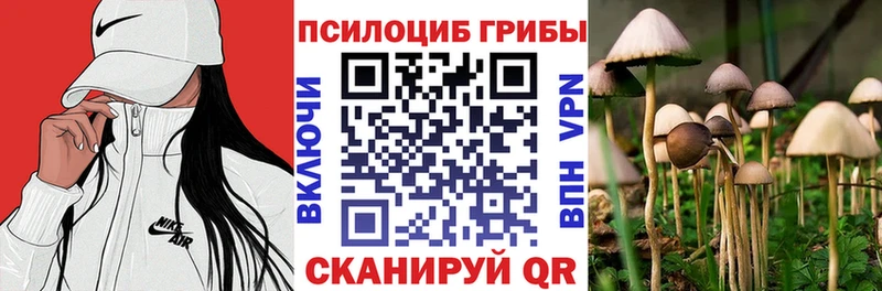 блэк спрут ссылки Котово Галлюциногенные грибы Cubensis даркнет сайт